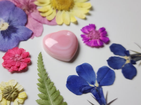 Pink Conch shell heart