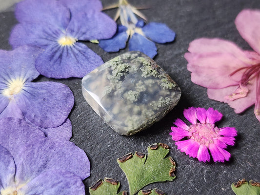 Garden Moss agate