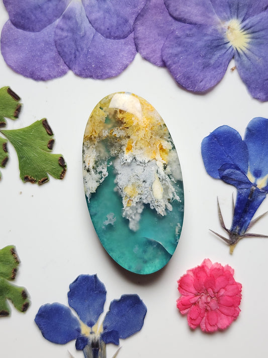 Bella Vista plume agate Doublet