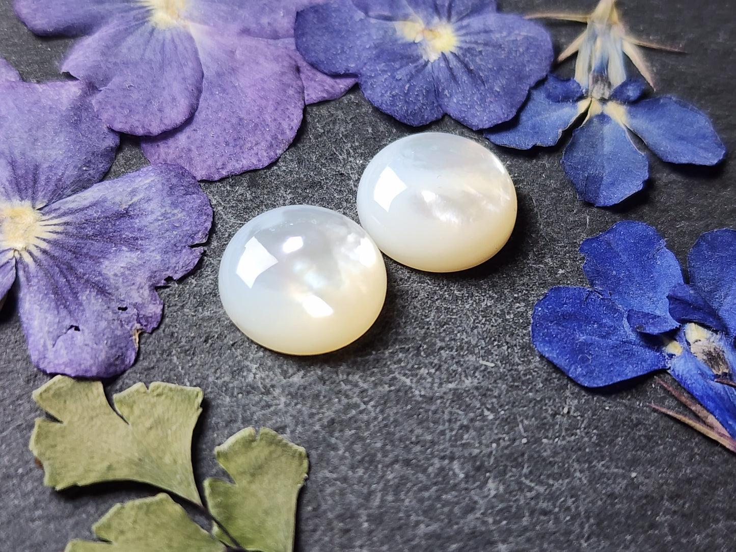 Mother of pearl shell (A2)