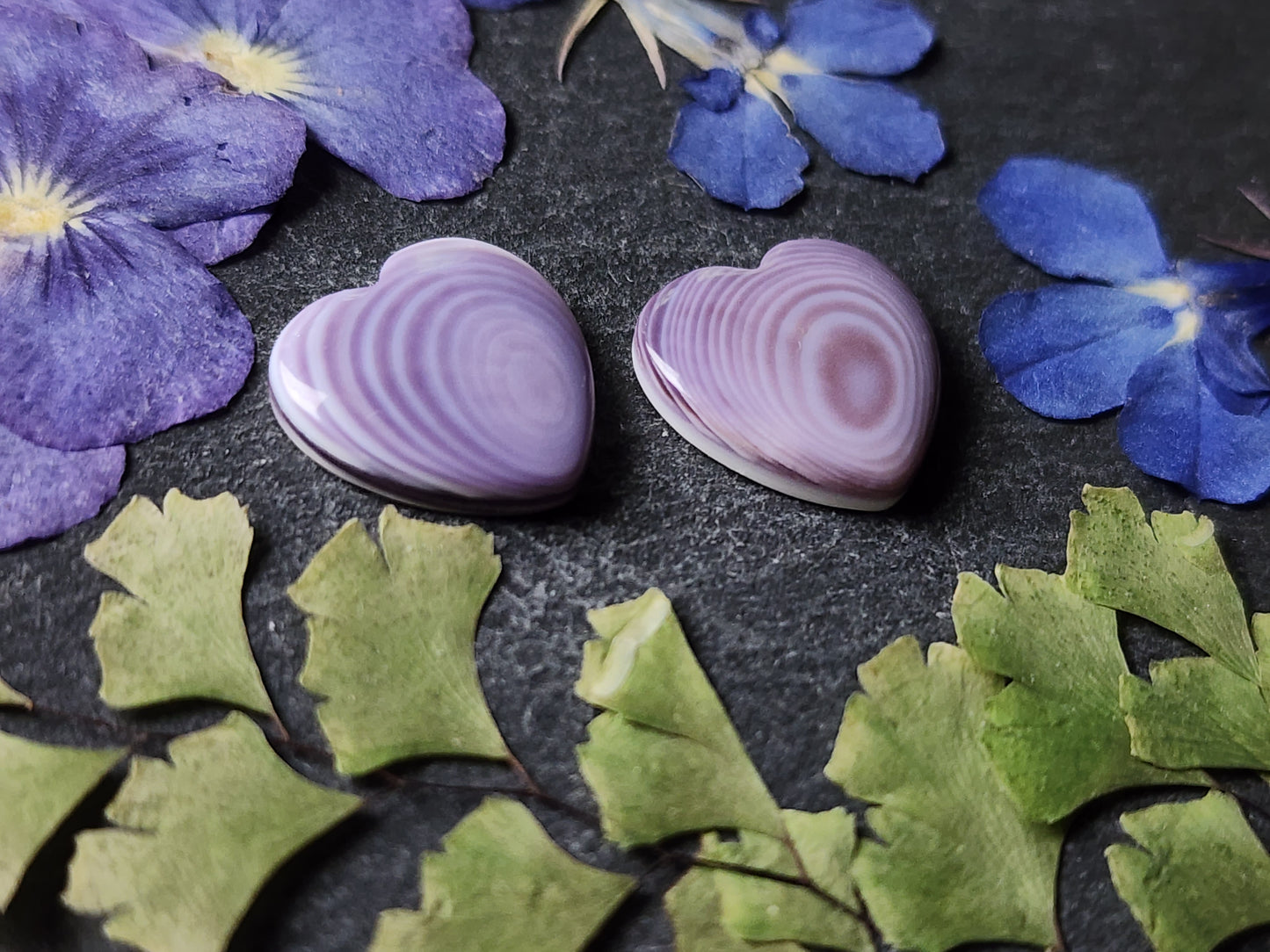 Wampum shell heart pair