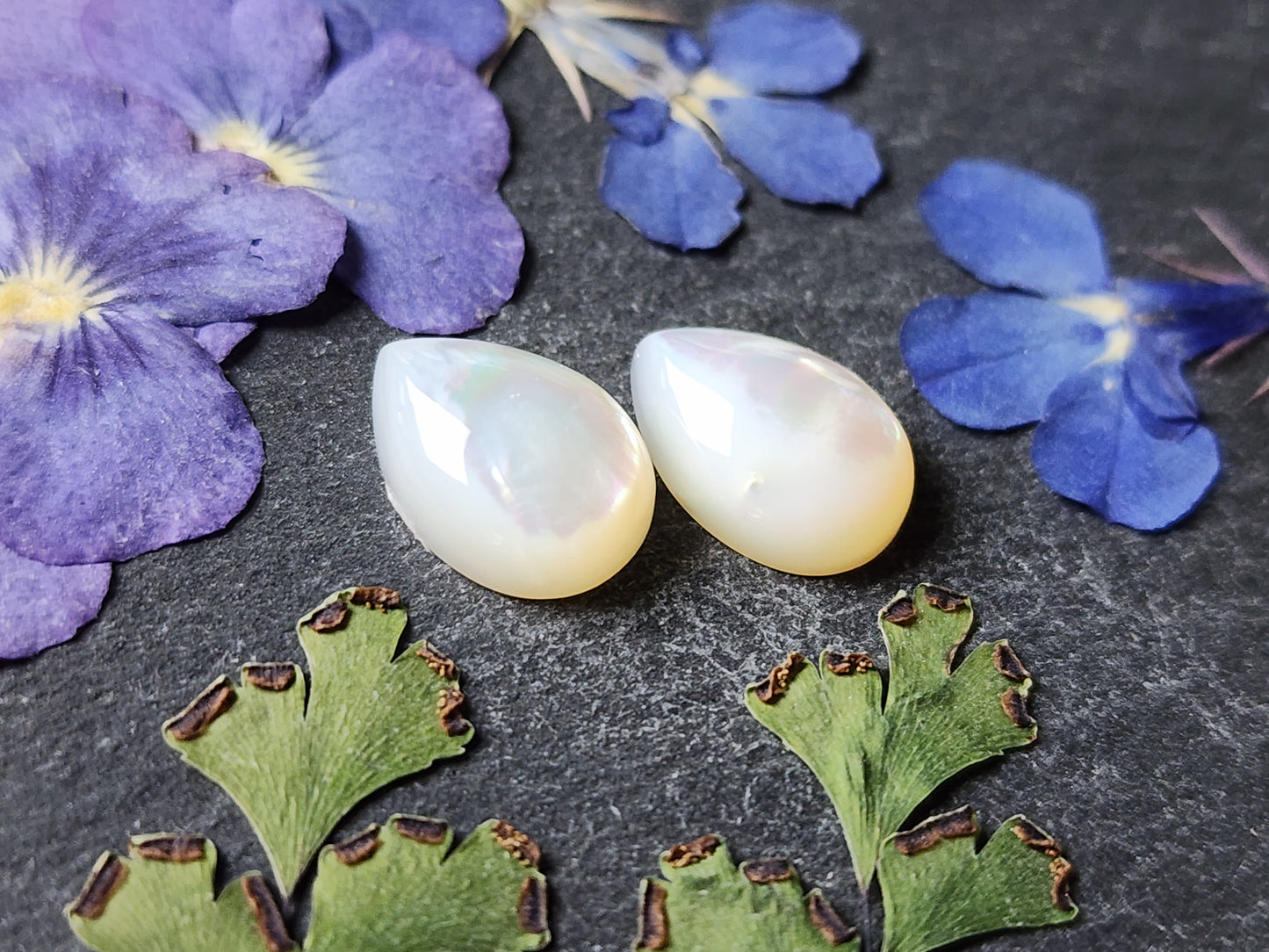 Mother of pearl shell pair (A1)