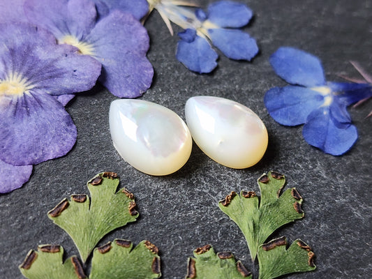 Mother of pearl shell pair (A1)