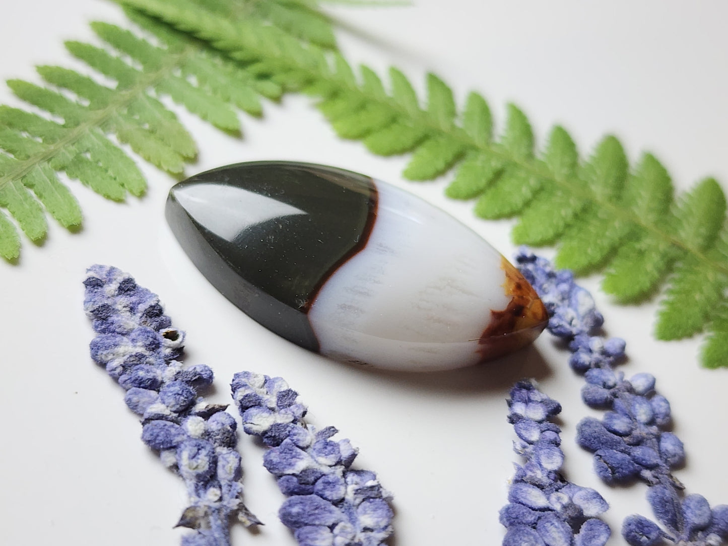 Polychrome jasper