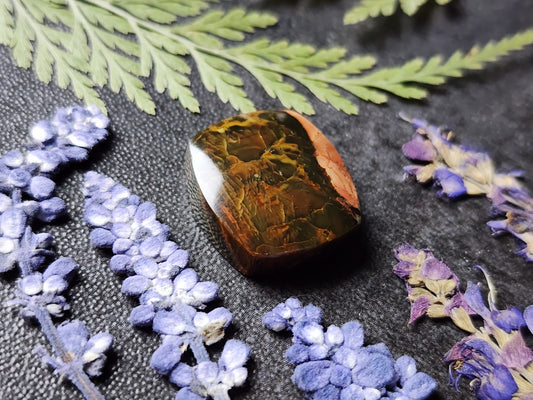 Morrisonite jasper