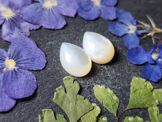 Mother of pearl shell pair (A2)