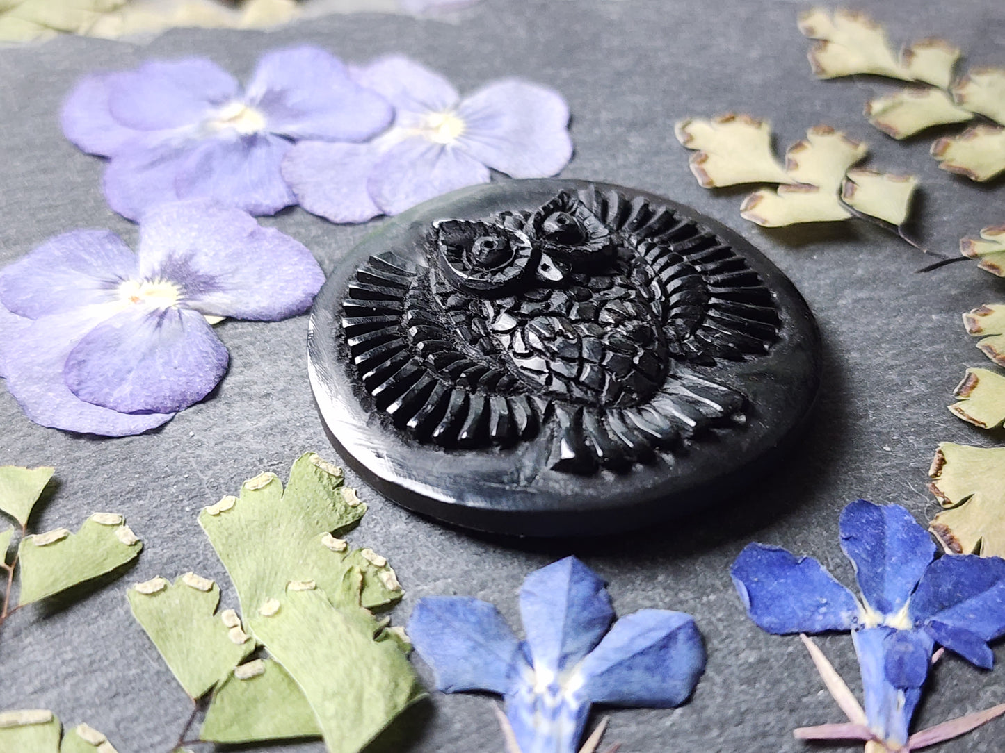 Wings of the night