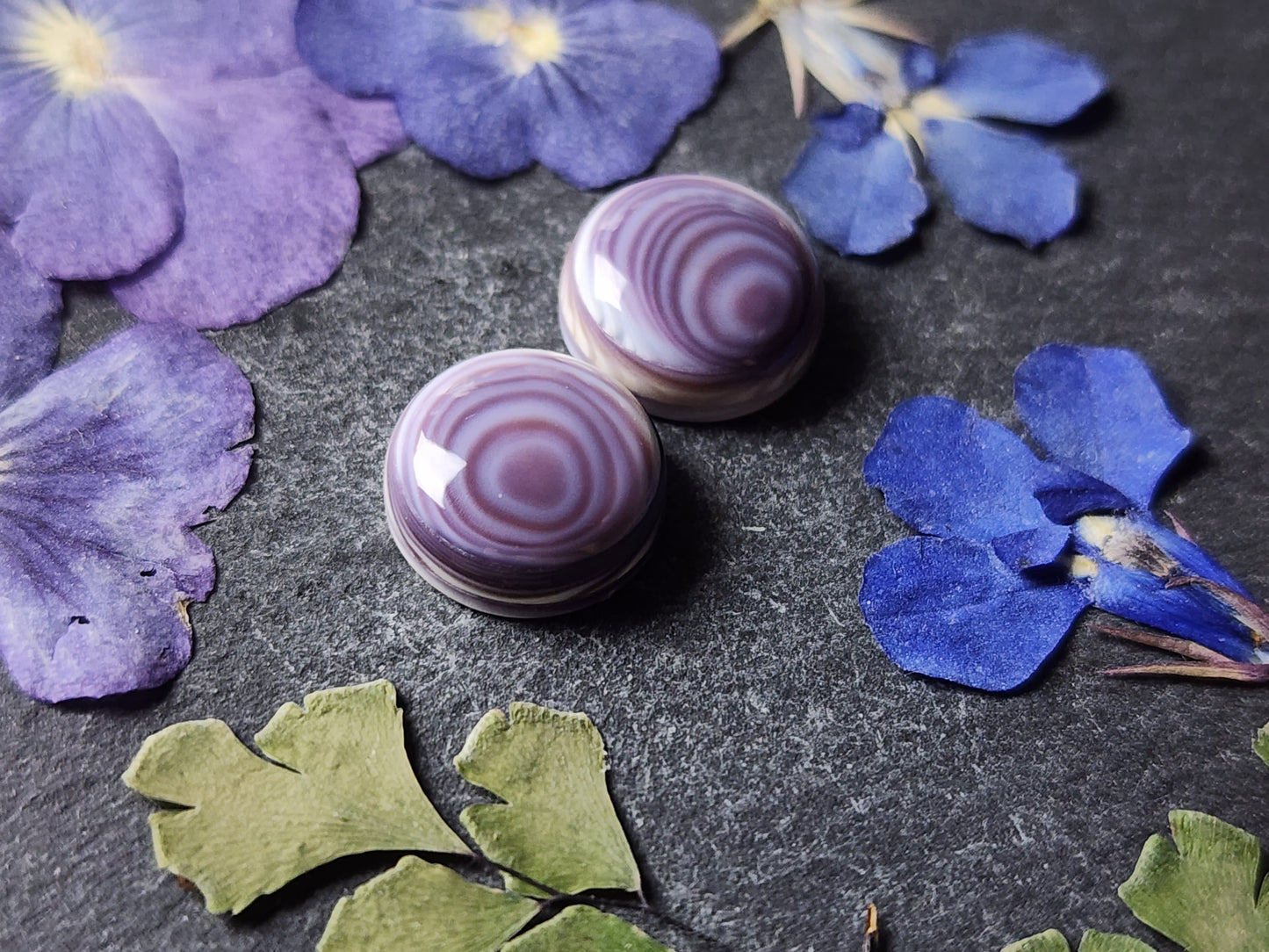 Wampum shell pair