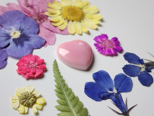 Pink Conch shell heart