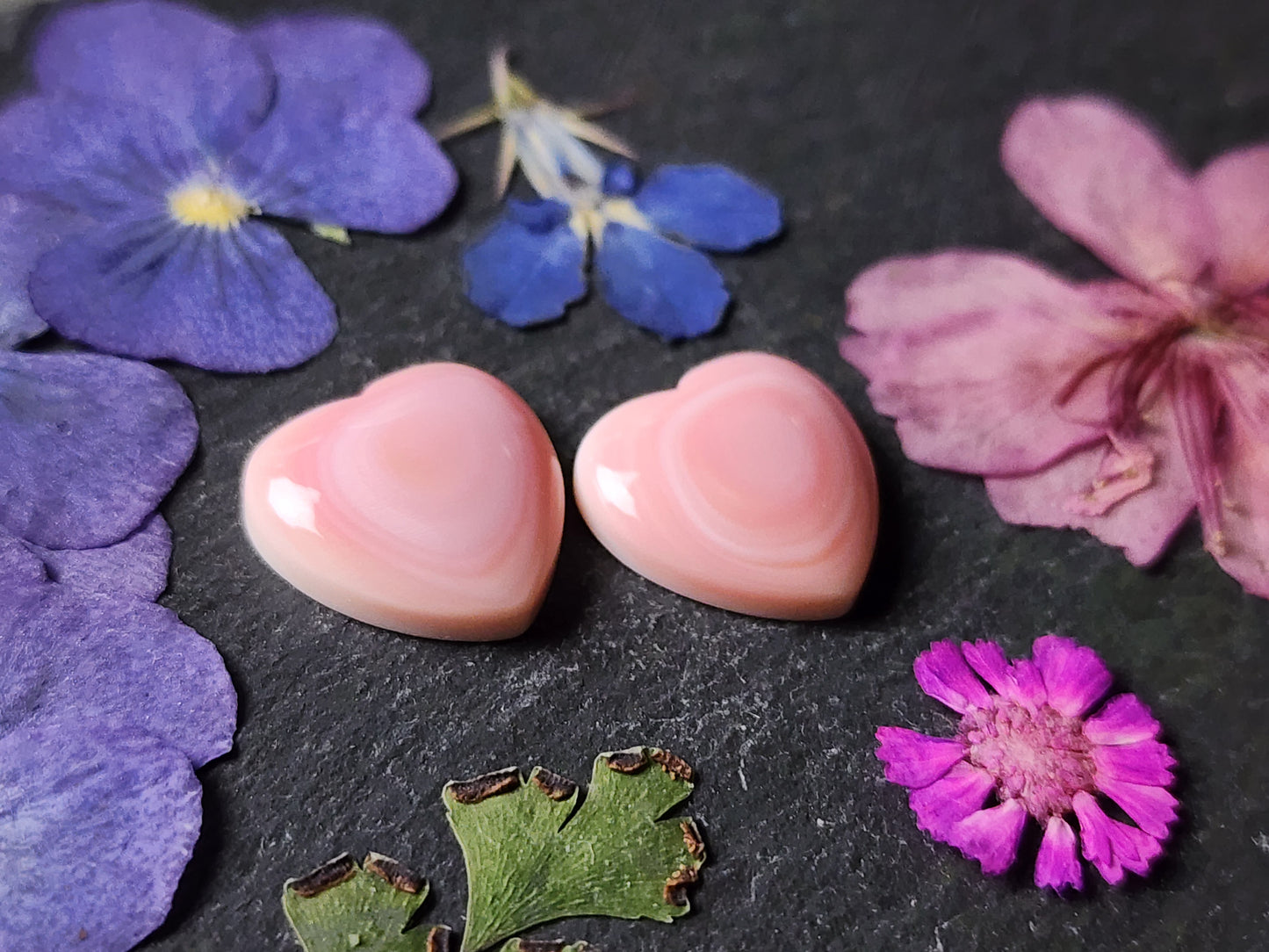 Pink Conch shell heart pair