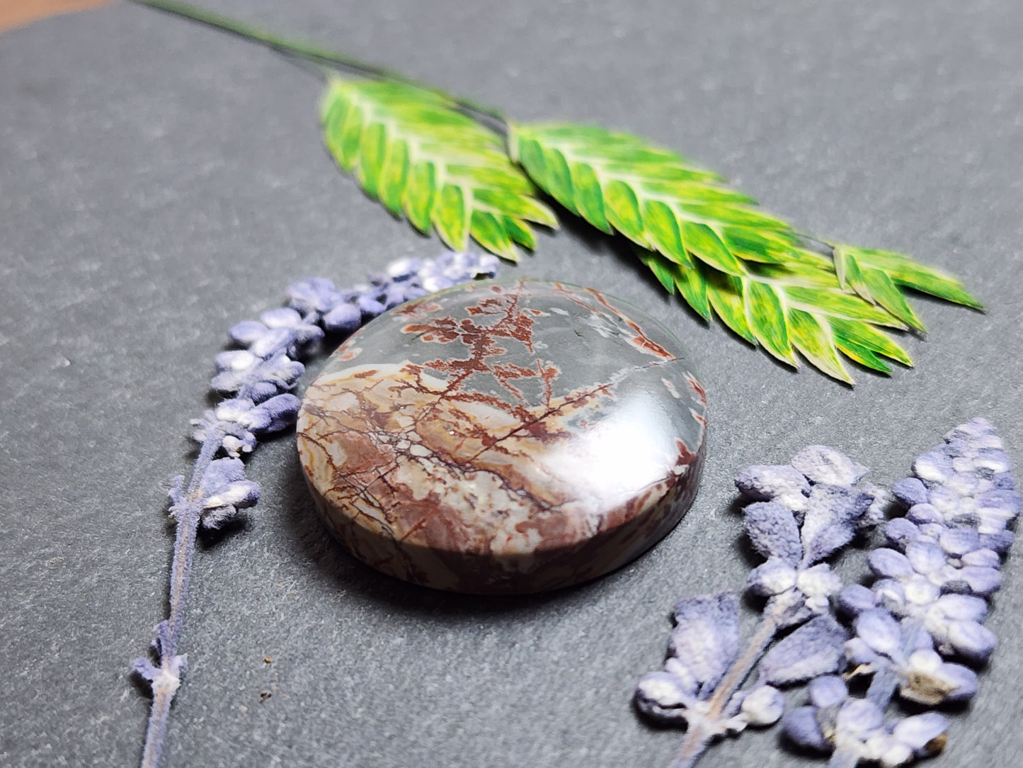 Sonoran Dendritic Rhyolite