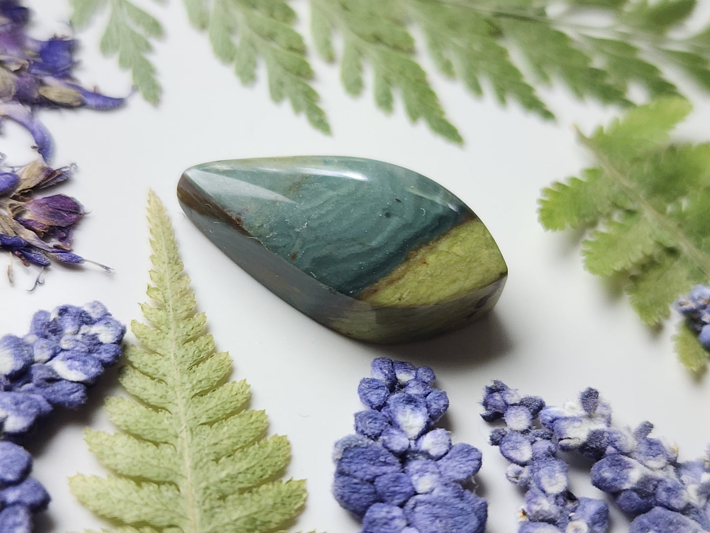 Gary Green jasper