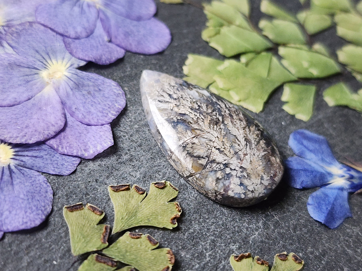 Dendritic plume agate