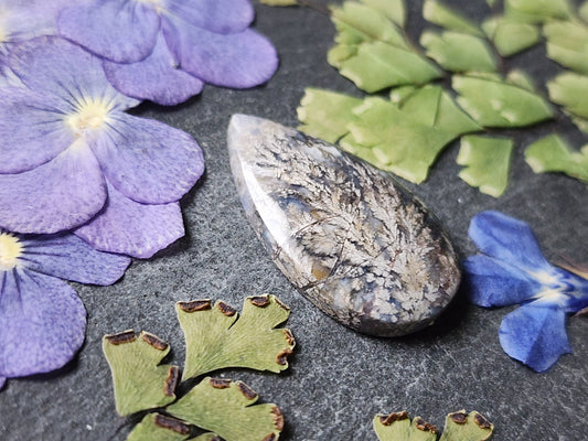 Dendritic plume agate