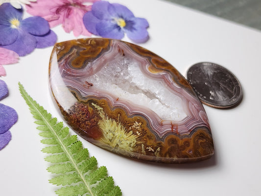 Agua Nueva agate : Collector piece