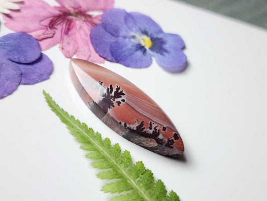 Mimbres Valley Apache Dendritic Rhyolite