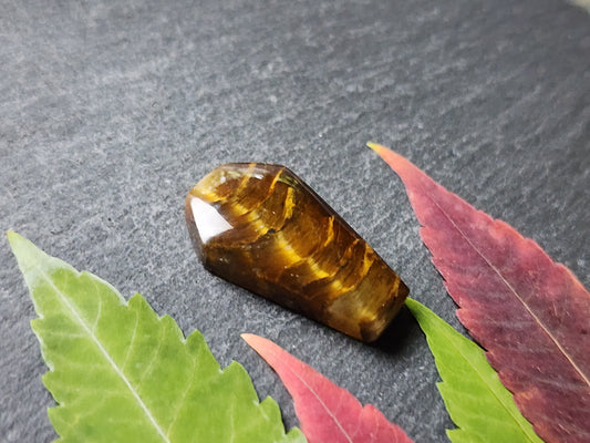 Tiger's eye coffin