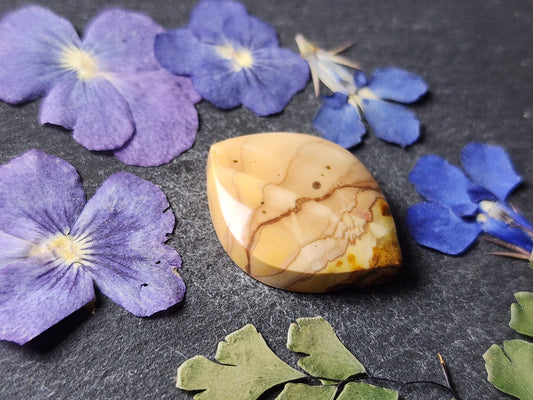 Willow Creek jasper
