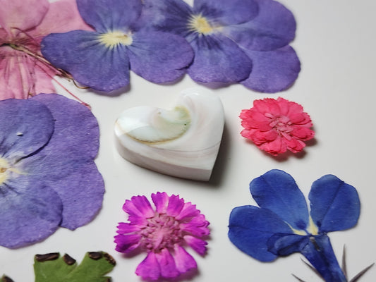 Shiva shell heart