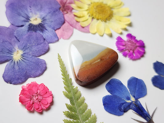 Polychrome jasper