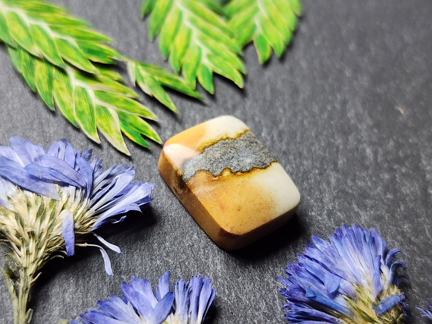 Starry night picture jasper