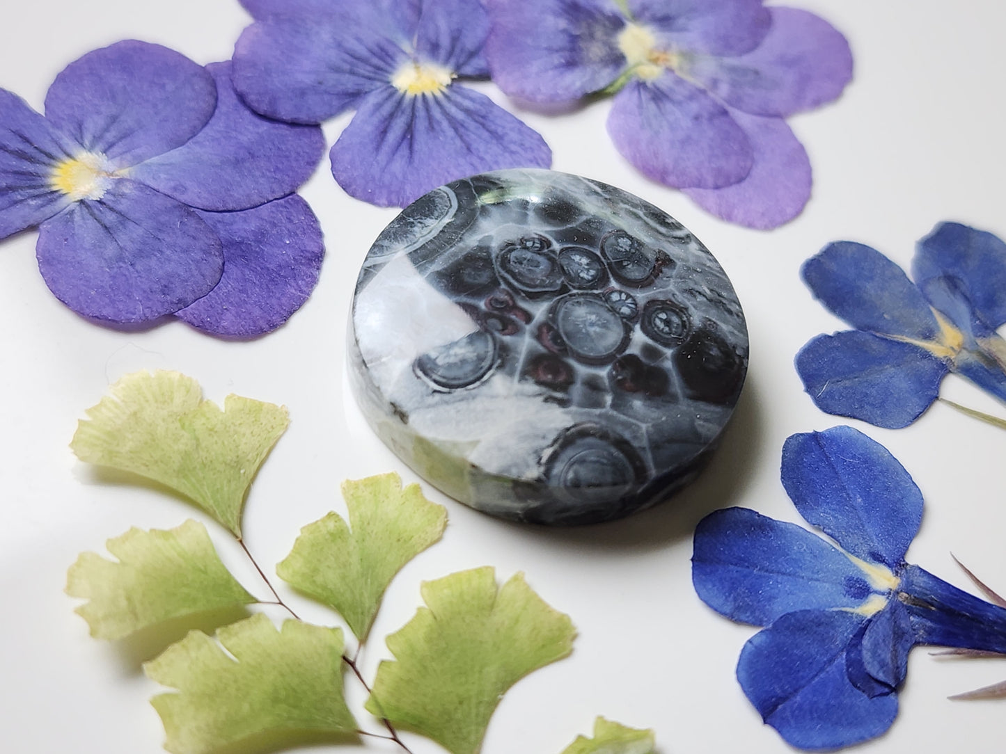 Galaxy Rhyolite