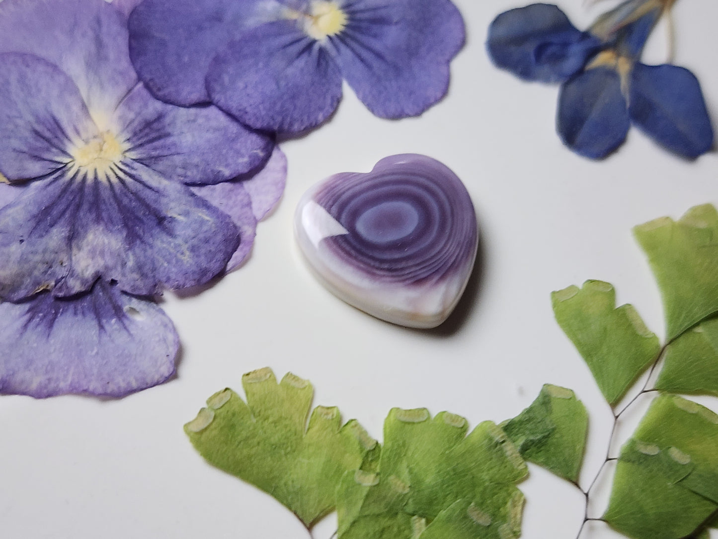 Wampum shell heart