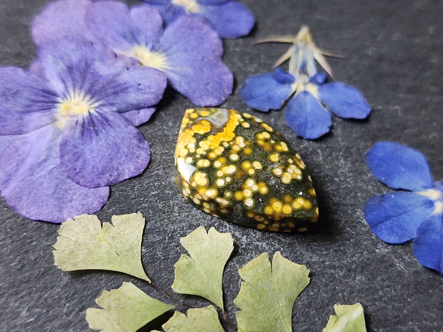 Ocean jasper