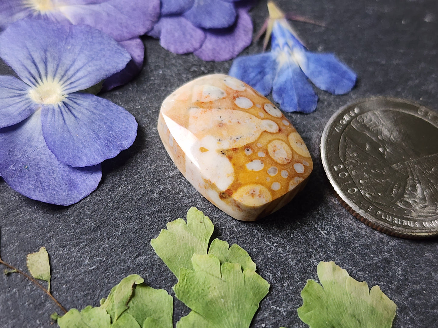 Spotted Fawn jasper