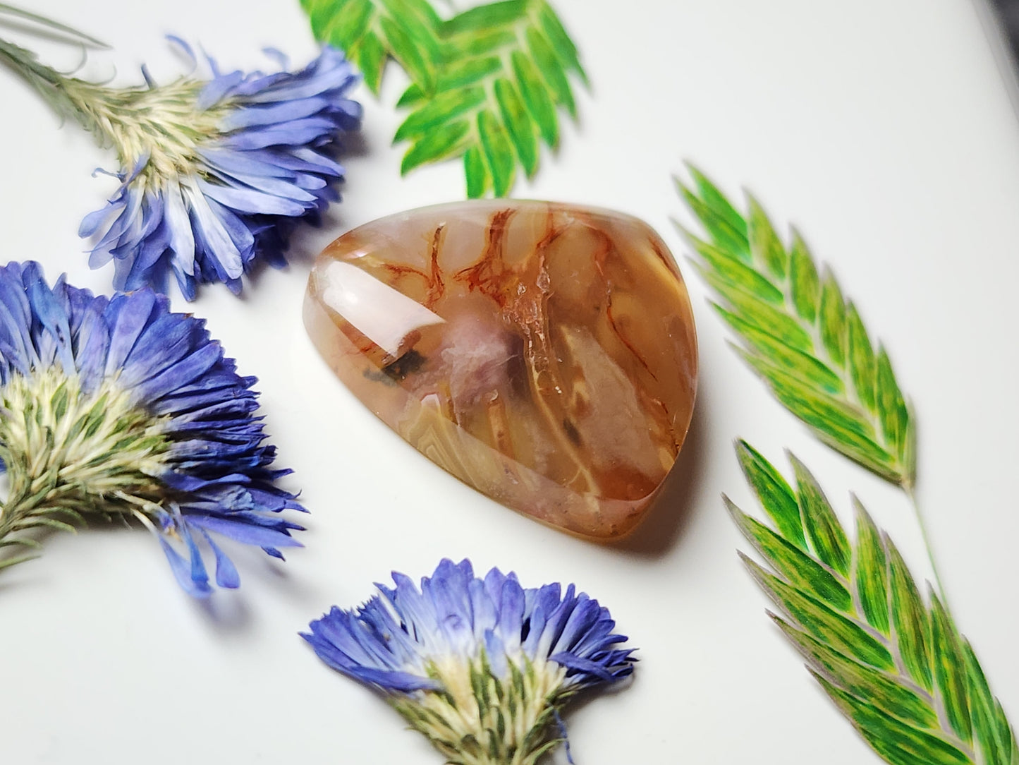 Agua Nueva agate