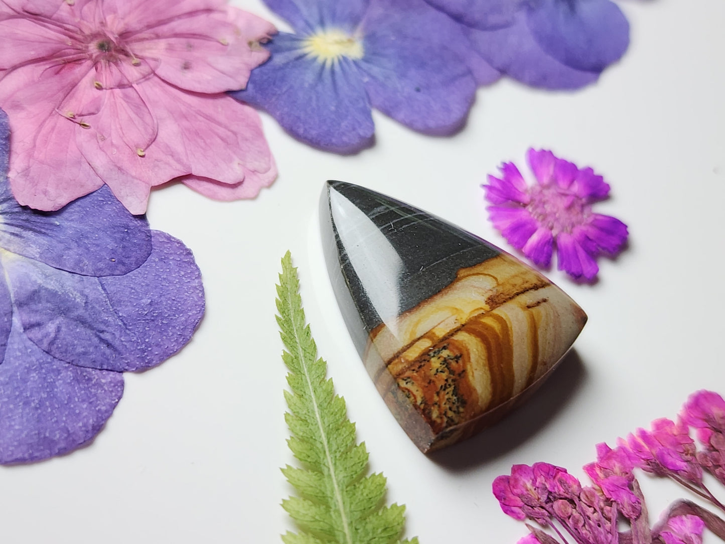 Red desert picture jasper