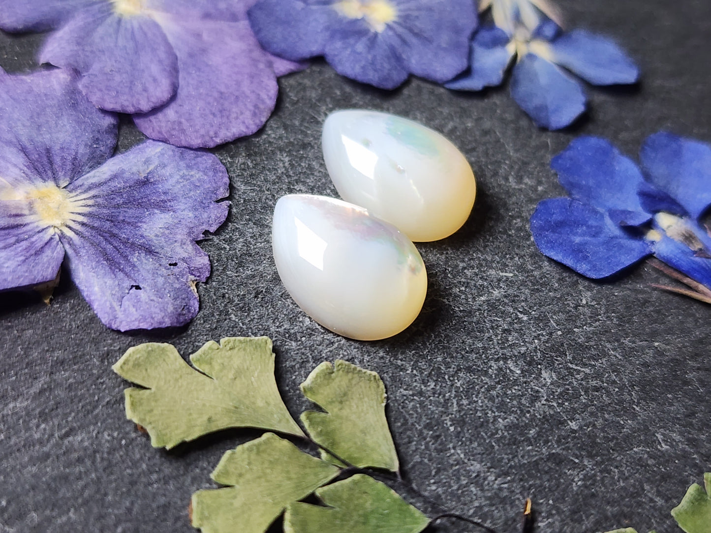 Mother of pearl shell pair(A2)