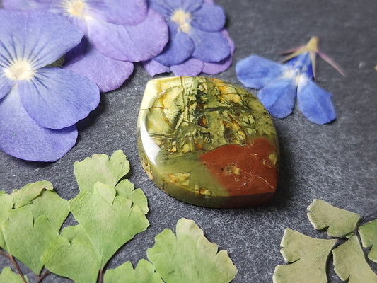 Morrisonite jasper