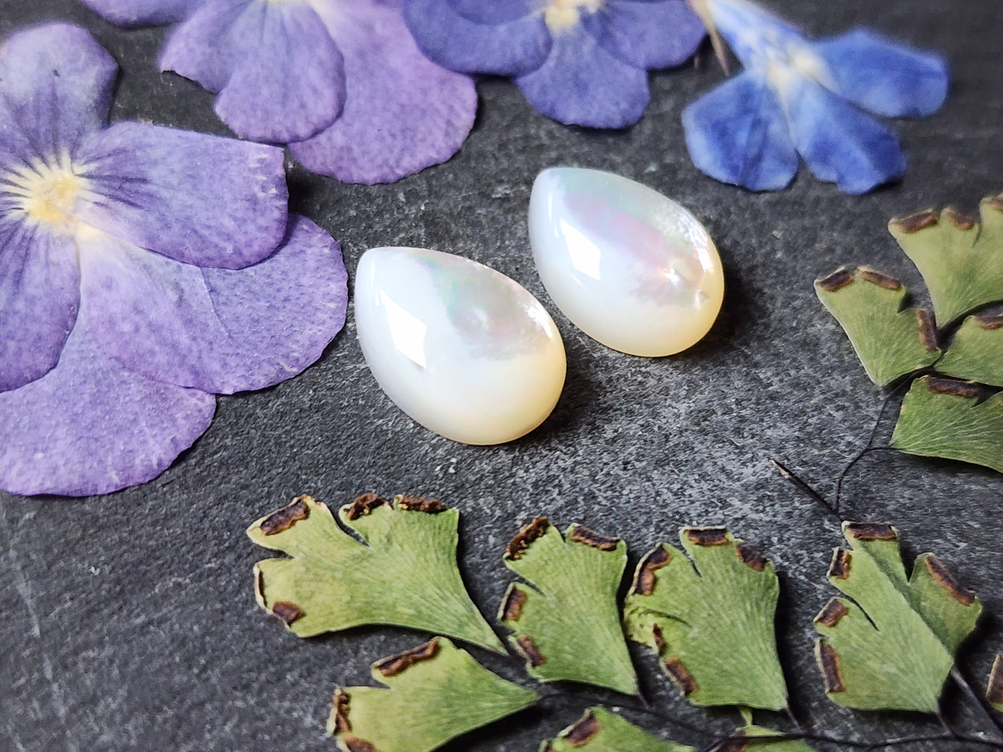 Mother of pearl shell pair (A1)