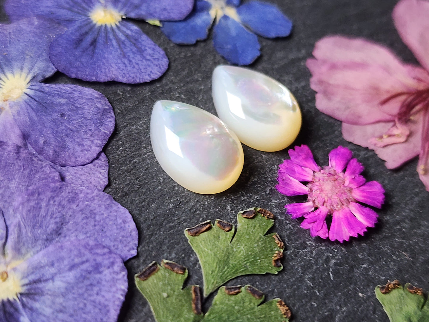 Mother of pearl shell pair (A1)