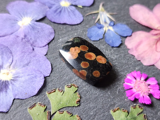Peanut Obsidian