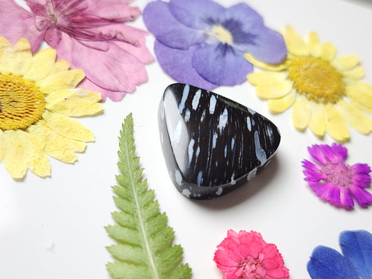 Petrified palm wood