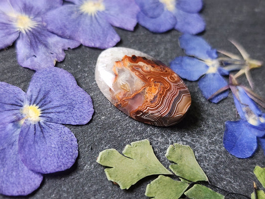 Laguna lace agate