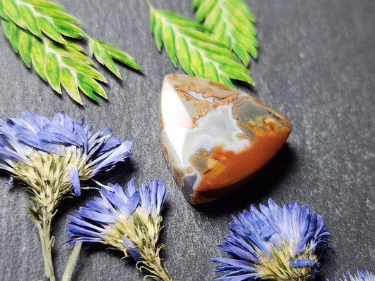 Brecciated Polychrome jasper