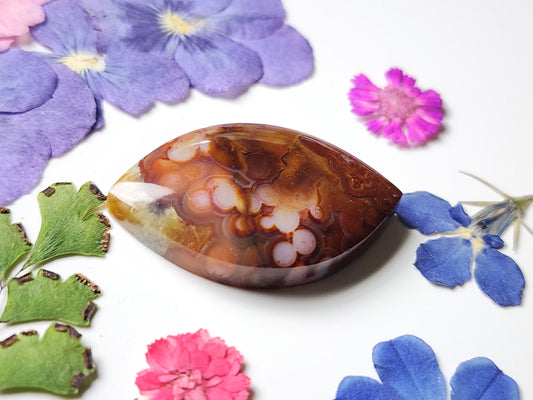 Rincon lace agate