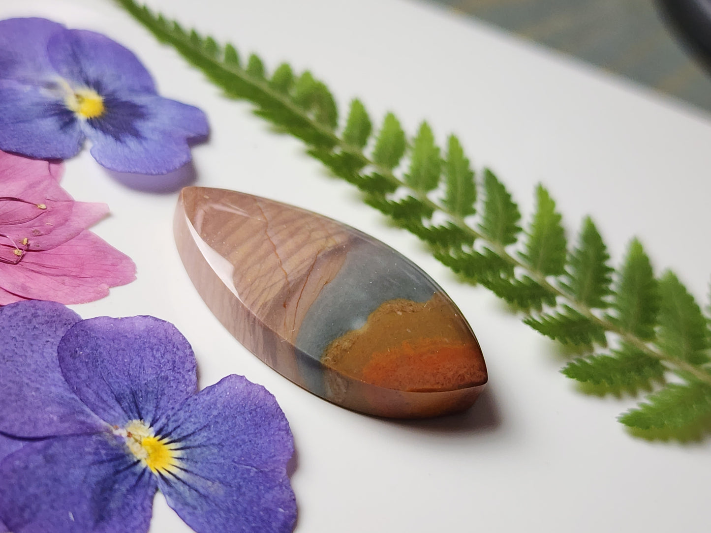 Orbs Polychrome jasper