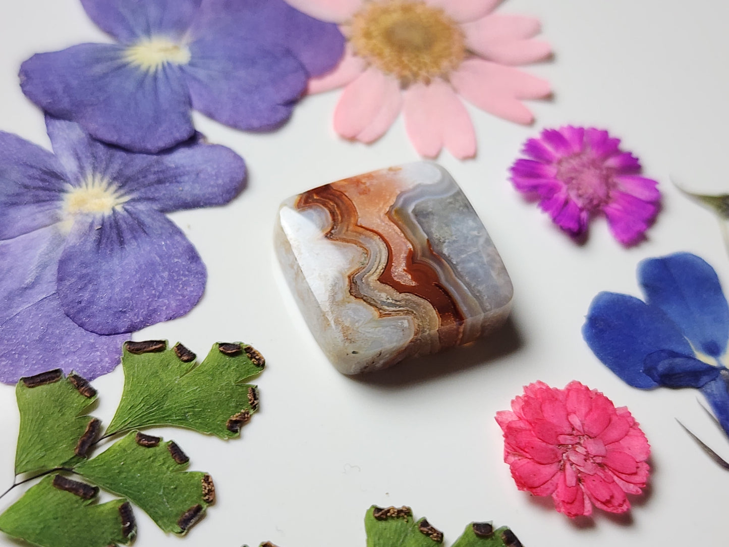 Rincon lace agate