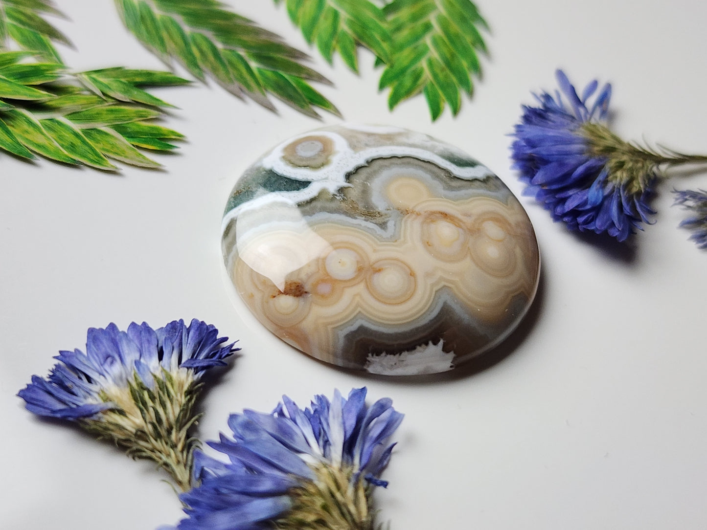Ocean jasper