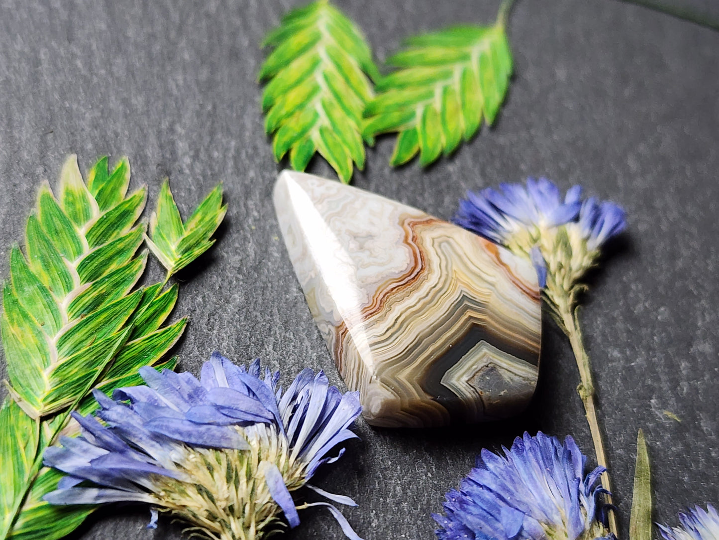 Laguna lace agate