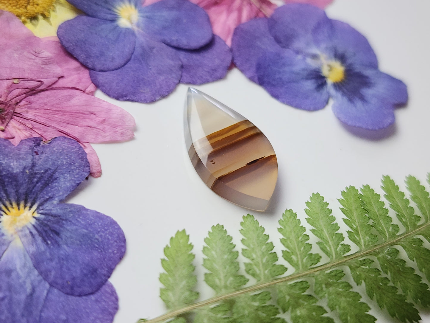 Montana agate