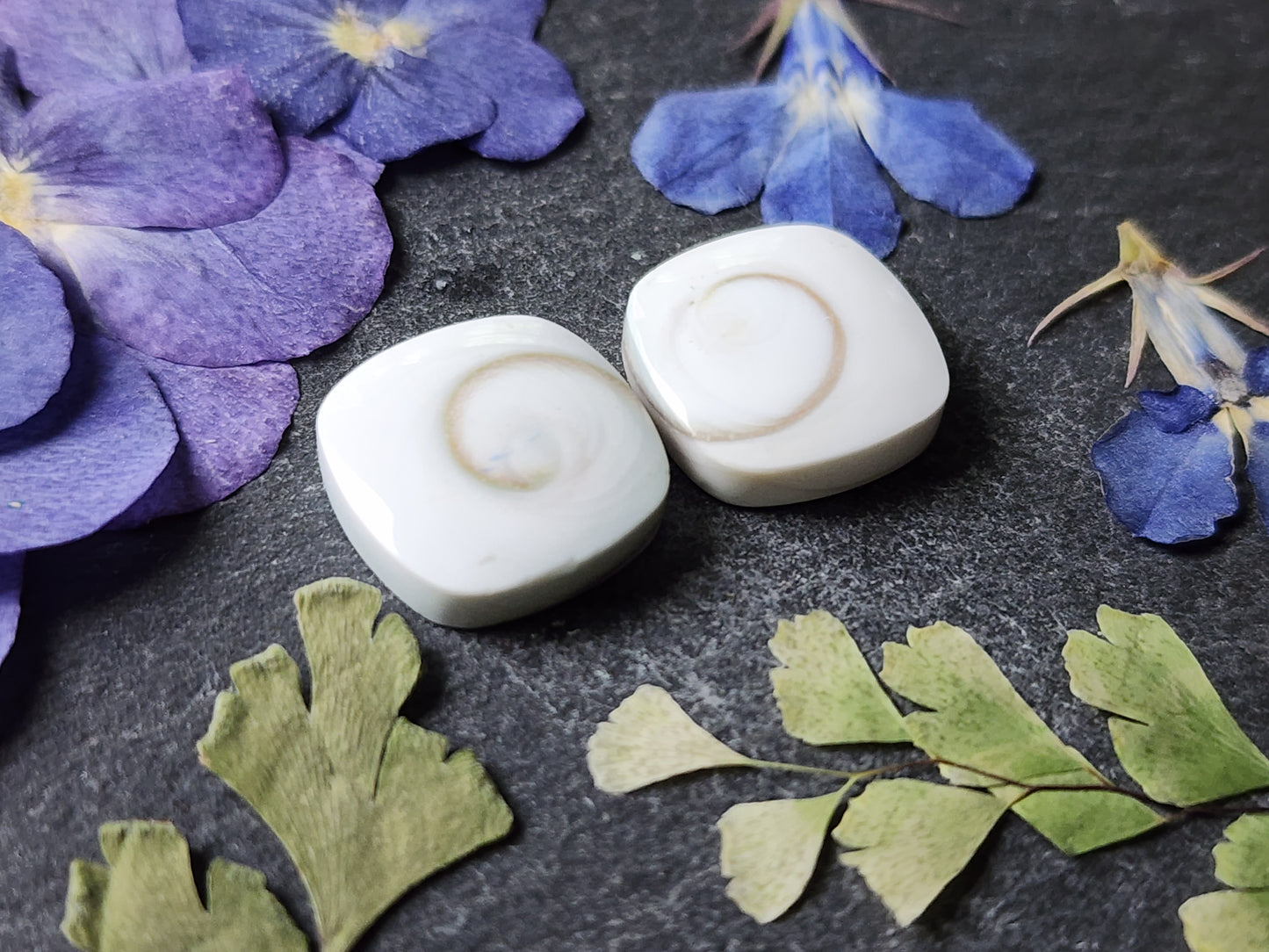 Shiva shell pair