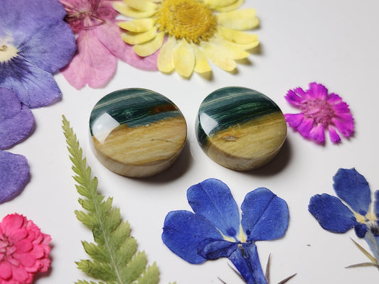 Gary green jasper/ Larsonite pair