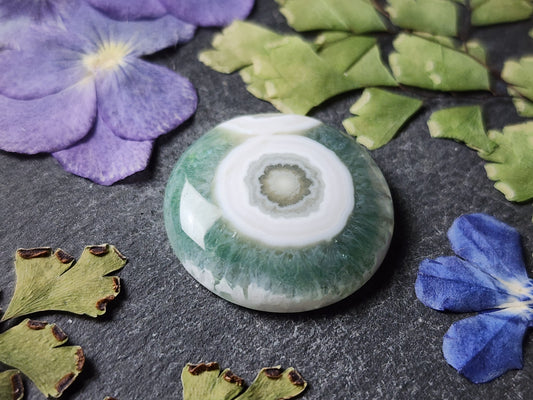 Ocean jasper