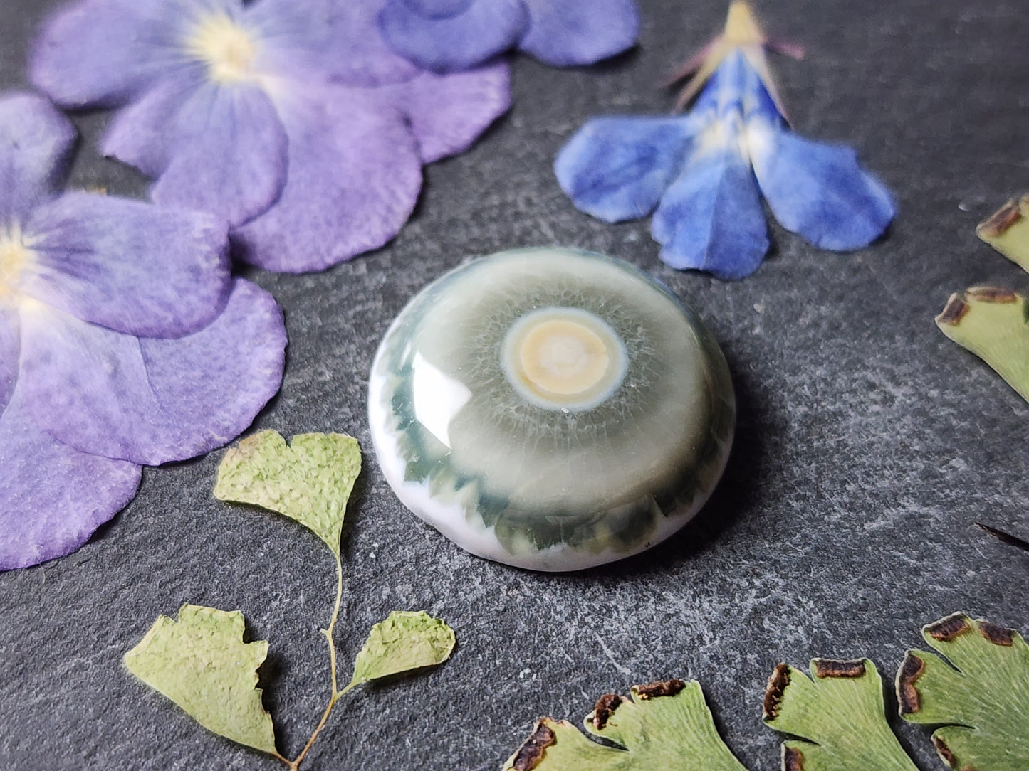 Ocean jasper