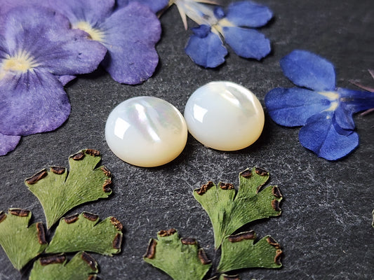 Mother of pearl shell pair (A2)